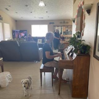 A serene moment of music-making at home with a curious dog.