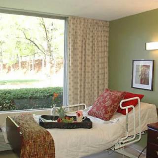 A hospital room with a bed near a large window offering a view of nature.