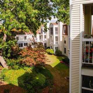 A view from a balcony overlooking a sunlit apartment courtyard with lush greenery.