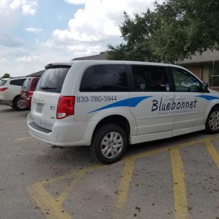 A parked minivan with 'Bluebonnet' branding in a parking lot.