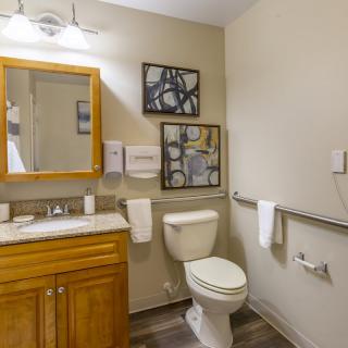 A clean and organized bathroom featuring a wooden vanity, mirror, toilet, and wall-mounted artwork.