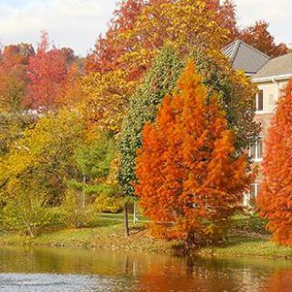 A beautiful autumn landscape with colorful trees reflecting in a lake near a house.