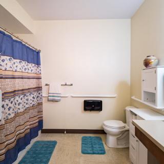 A tidy bathroom featuring a blue and brown shower curtain, with matching bath mats and a white cabinet for storage.
