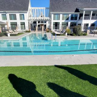 A serene outdoor pool area at an apartment complex on a sunny day.