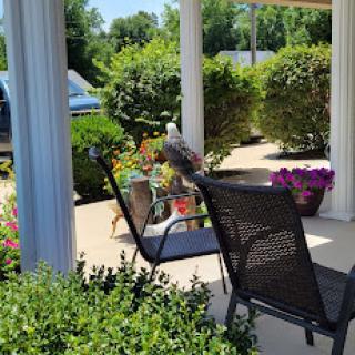 A peaceful outdoor patio setup, perfect for enjoying the sunshine and surrounding flowers.