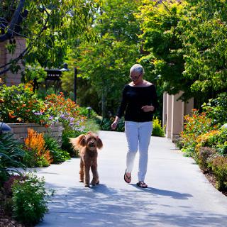 A woman enjoying a stroll with her dog along a beautifully landscaped path.