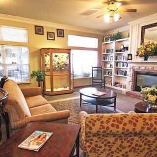 A cozy living room with a comfortable seating area, featuring a sofa and armchair, bookshelves, and a fireplace.