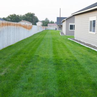 A neatly mowed lawn stretching alongside a house, bordered by a fence.
