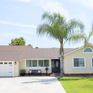 A suburban house with a palm tree in the front yard.
