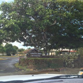 A view of a tree-lined entrance with a sign, seen from a vehicle.