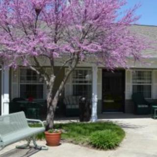 A courtyard with a blooming tree, bench, and potted plants in front of a building.