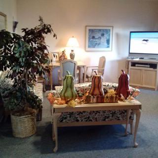 A cozy living room featuring a coffee table with colorful decor, a large potted plant, and a television.