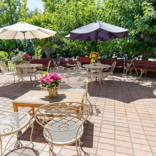 A sunny outdoor patio with tables, chairs, umbrellas, and vibrant flowers.