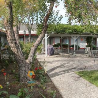 A serene backyard garden with a tree-lined pathway leading to an outdoor seating area under a pergola.