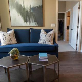 A modern living room featuring a blue sofa, decorative pillows, and abstract artwork above the couch. A pair of hexagonal coffee tables with a plant and books adds to the stylish decor.