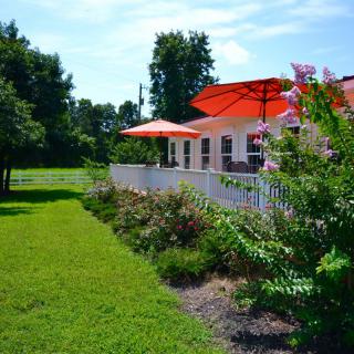 A sunny day in a garden with a house featuring a patio and orange umbrellas.