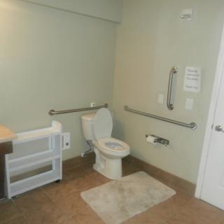 An accessible bathroom with safety grab bars, a toilet, and a sink.