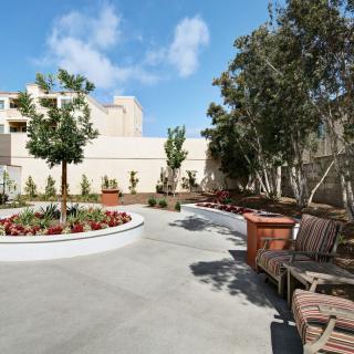 A peaceful outdoor garden area with benches and trees on a sunny day.