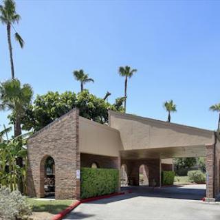 A welcoming entrance to a building surrounded by palm trees under a clear blue sky.