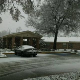 A snowy day with a car parked near a building and a tree covered in snow.