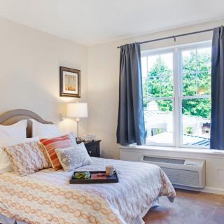 A cozy bedroom with a large window letting in natural light, featuring decorative pillows and a stylish bedspread.