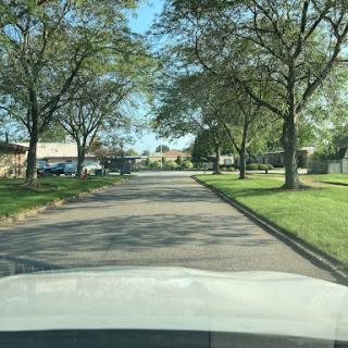 A serene residential street lined with trees on a sunny day.