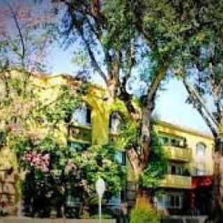 A charming building surrounded by lush trees and greenery.