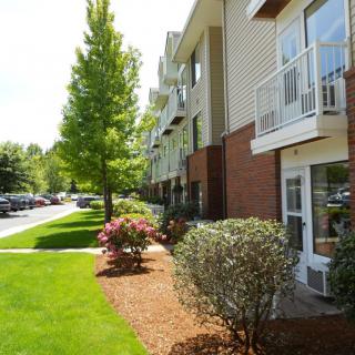 A well-maintained apartment building with lush greenery and a neatly trimmed pathway.