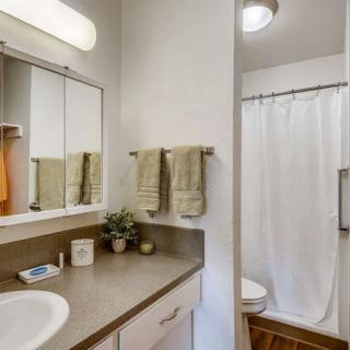 A well-organized bathroom featuring a sink, mirror, towels, and a shower area with a white curtain.
