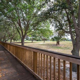 A peaceful park scene with a wooden walkway alongside lush trees.