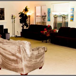 A cozy living room with sofas, an armchair, a lamp, and indoor plants.