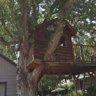 A cozy wooden treehouse nestled among the branches of a sturdy tree.