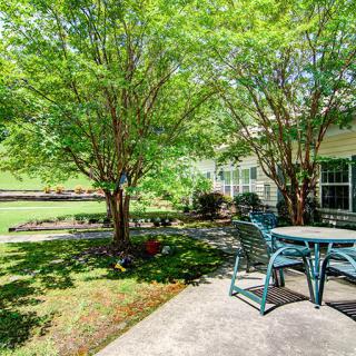 A serene backyard garden with a patio set under lush green trees.
