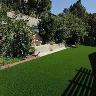 A well-maintained backyard featuring artificial grass and various trees and plants.