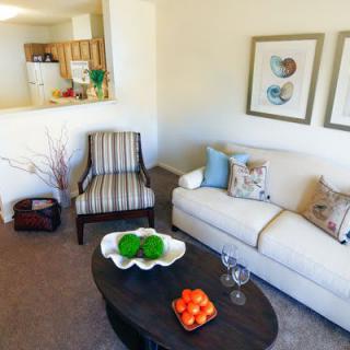 A cozy living room featuring a sofa, striped armchair, and a coffee table with decorative pieces.