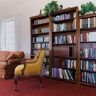 A cozy library corner with bookshelves, an armchair, and a sofa.