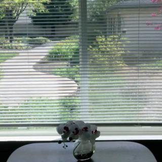 A vase with flowers sits on a table by a window, with blinds partially open to reveal an outdoor pathway.