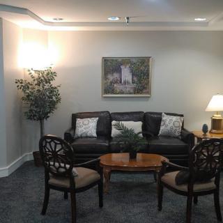 A cozy living room with a sofa, chairs, and a table, complemented by a lamp and decorative plants.