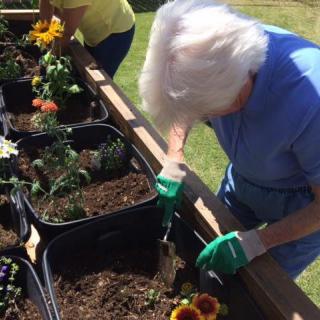 A woman is planting flowers in a garden bed under the sunlight.