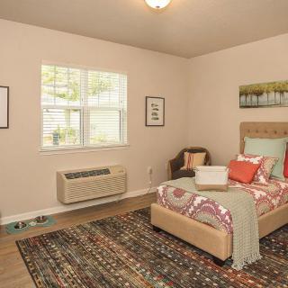 A cozy bedroom featuring a bed with colorful pillows, an armchair, and a large rug, with natural light streaming in through the window.