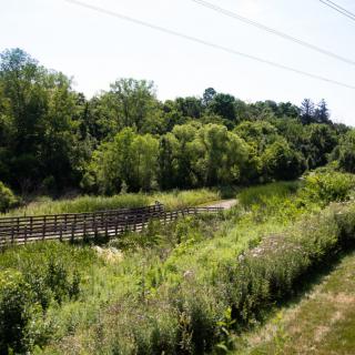 A serene landscape featuring a wooden bridge surrounded by lush greenery and trees.