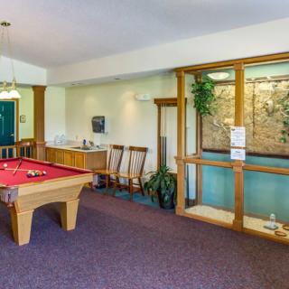 A cozy game room featuring a pool table and comfortable seating.