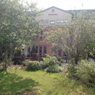 A serene view of a building surrounded by lush greenery.