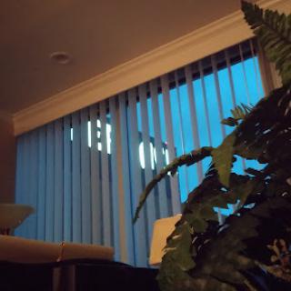 A cozy interior scene featuring vertical blinds and a plant, illuminated by the soft glow of evening light.
