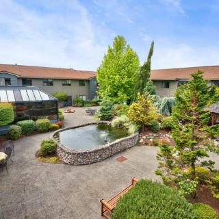 A serene courtyard with a pond surrounded by lush greenery and trees.