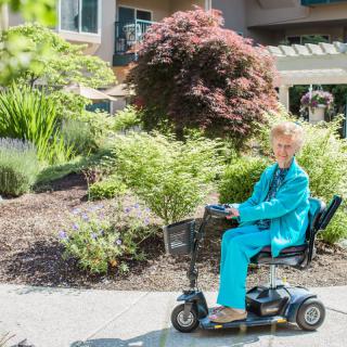 Person riding a mobility scooter in a garden setting.