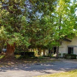 A suburban house surrounded by lush trees and a driveway.