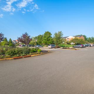 A spacious parking lot surrounded by trees under a clear blue sky.