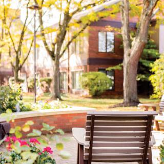 A serene garden scene showcasing autumn foliage and inviting seating.