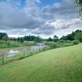 A serene landscape featuring a river under a partly cloudy sky, surrounded by lush greenery.